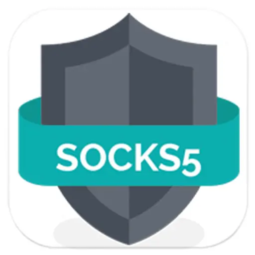 Socks5 1TB/Month Dedicated Proxy Server